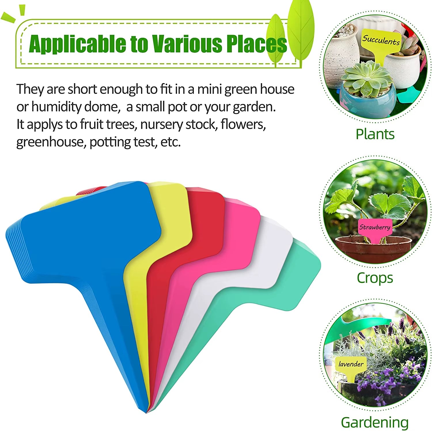 50/ 100/ 500PCS Plastic Plant Labels 2.4" X 4"/ 6X10Cm T-Type Garden Tags Plants Waterproof 6 Colors Plant Tags for Plant Sign